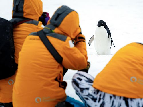 Reiseteilnehmer beim Fotografieren eines Pinguins
