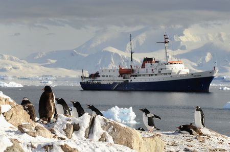 Schiff Ushuaia Pinguine