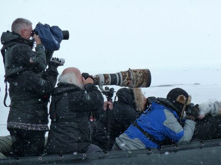 Antarktis Foto Workshop